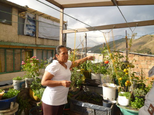 Empowermentprozesse von Frauen in urbaner und solidarischer Landwirtschaft in Bogotá/ Kolumbien